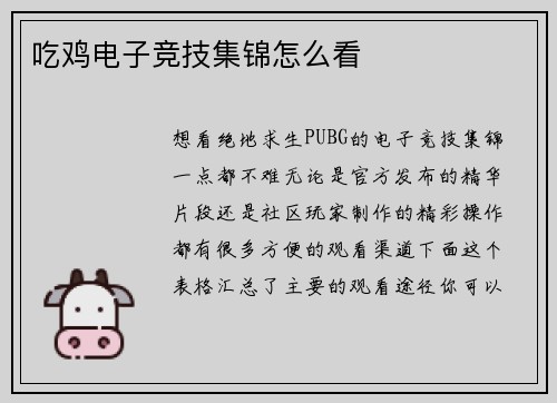 吃鸡电子竞技集锦怎么看